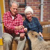two people feeding a capybara