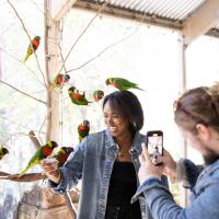woman with lorikeets on head and arm, smiling. 
