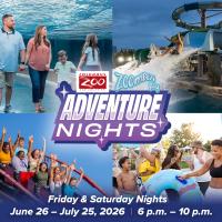 Adventure Nights graphic