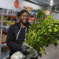 Zoo team member at the Columbus Zoo holding bushel of branches