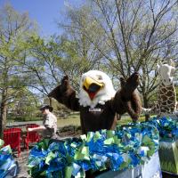 bald eagle mascot on train