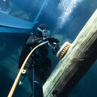 LSS diver in water