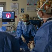 medical team working on mandrill at the Columbus Zoo