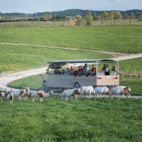 tour bus at The Wilds