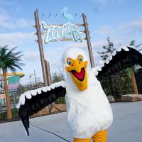 Character Ambassador Sam Pelican at Zoombezi Bay Entrance