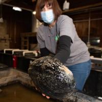 woman holding mussel