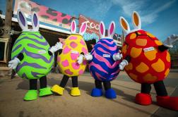 Up-close of all four Egg Characters in a line-up