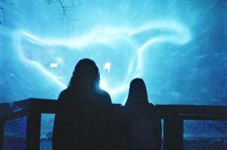 people watching zoo visuals