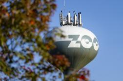 Photo of Zoo's water tower with leaves