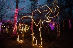 Image of a light sculpture in the shape of an elephant, raising its trunk, with trees wrapped in pink lights in the background