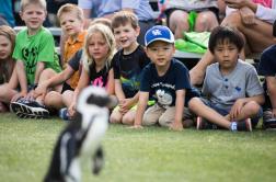 penguin with kids in background
