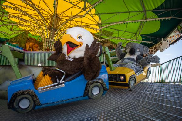 Safari Stampede