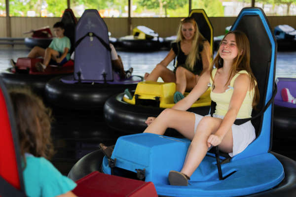 bumper cars driven by zoo guests