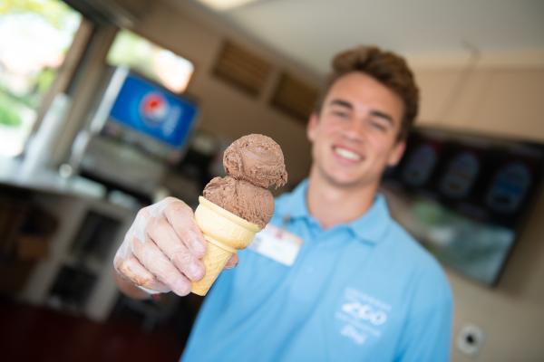 Ice cream