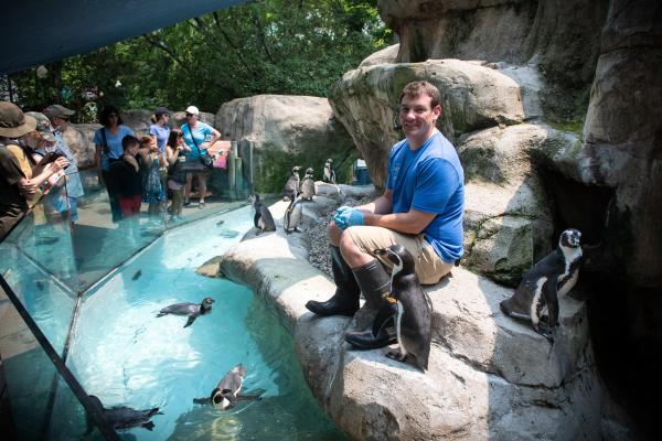 animal care team with penguins
