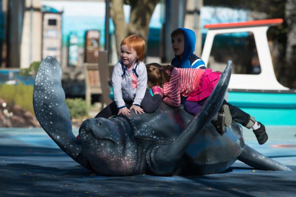 Shores Play Park