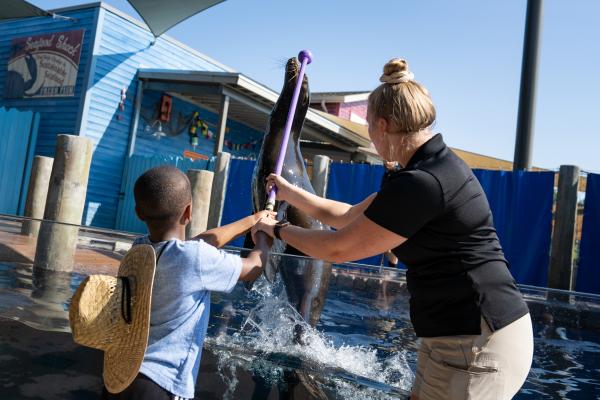 Child helping sea lion trainer train a sea lion