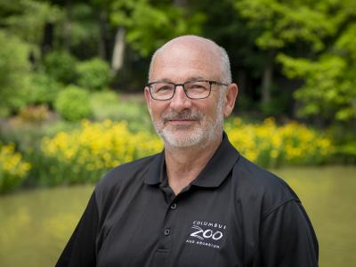 Bob Mayes, VP Information Technology