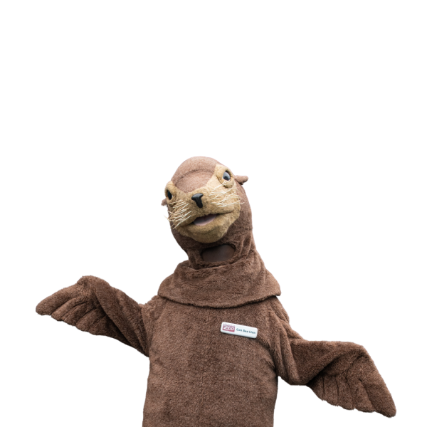 sea lion mascot