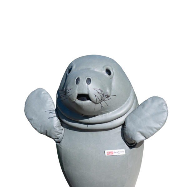 manatee mascot