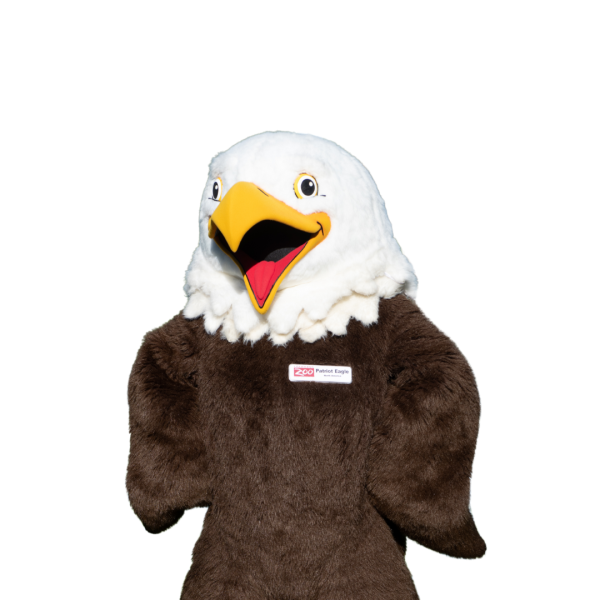 eagle mascot
