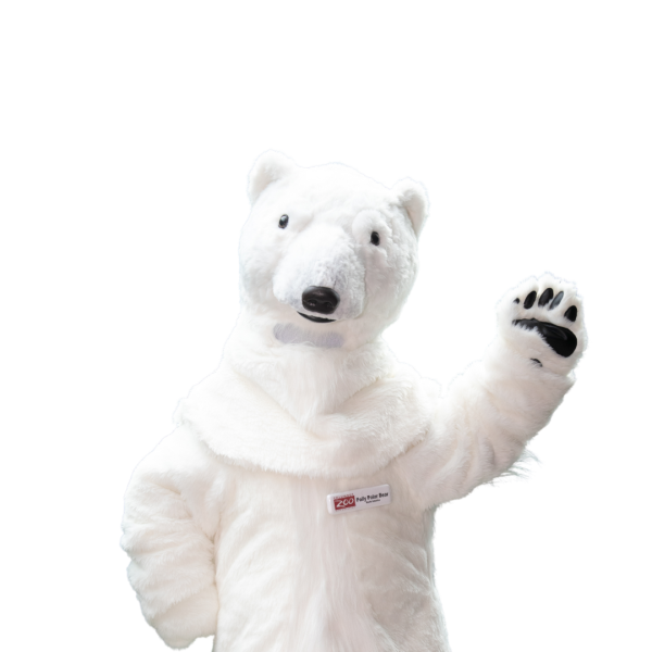 polar bear mascot