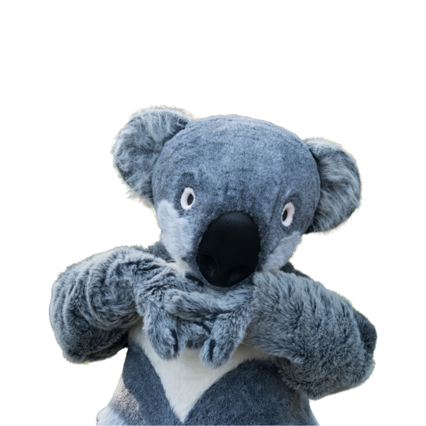 koala mascot