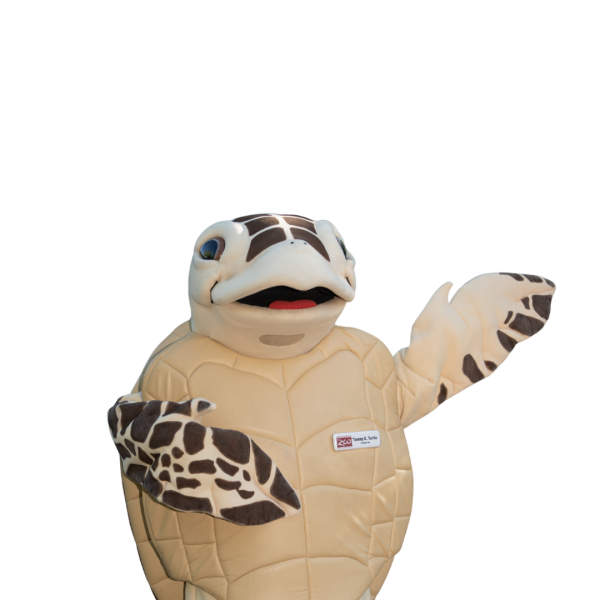 sea turtle mascot