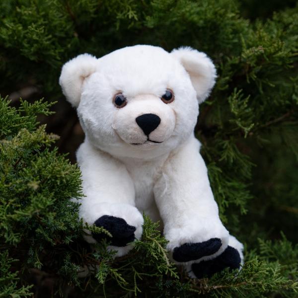 polar bear plush