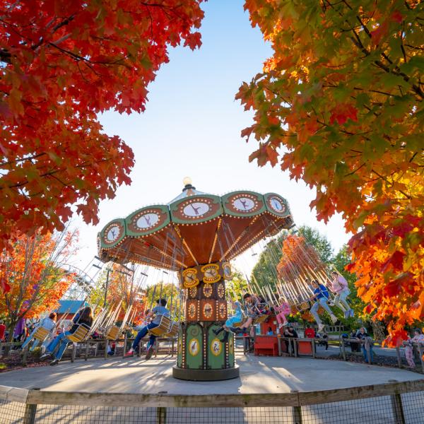 carnival ride flanked by autumn trees