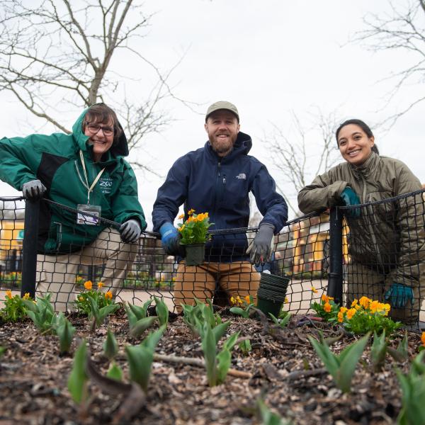 Adult Volunteers