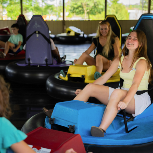 bumper cars driven by zoo guests