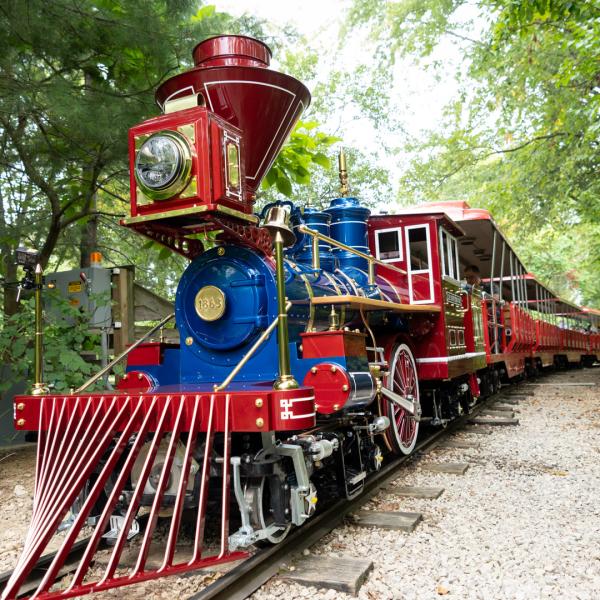 electric train engine and cars on tracks