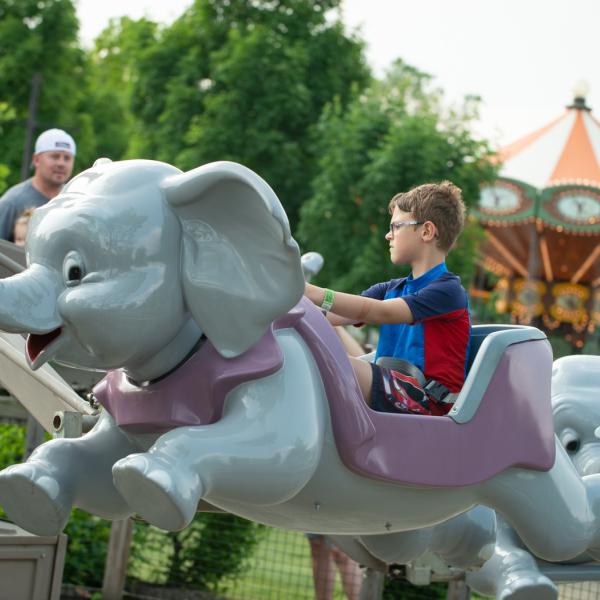 child on elephant fair ride