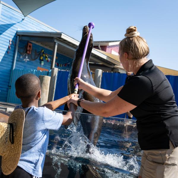 Child helping sea lion trainer train a sea lion