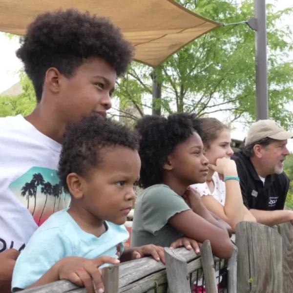 children watching
