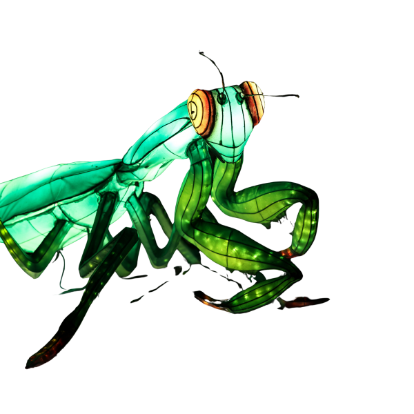 Praying Mantis lantern