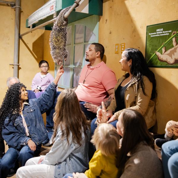 zoo guests