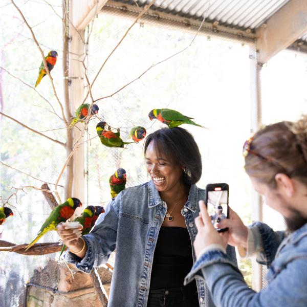 woman with lorikeets on head and arm, smiling. 
