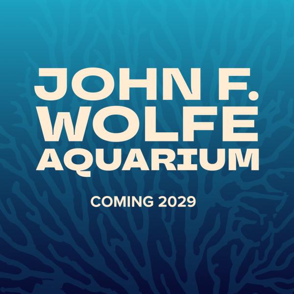 Coming Soon graphic for an aquarium