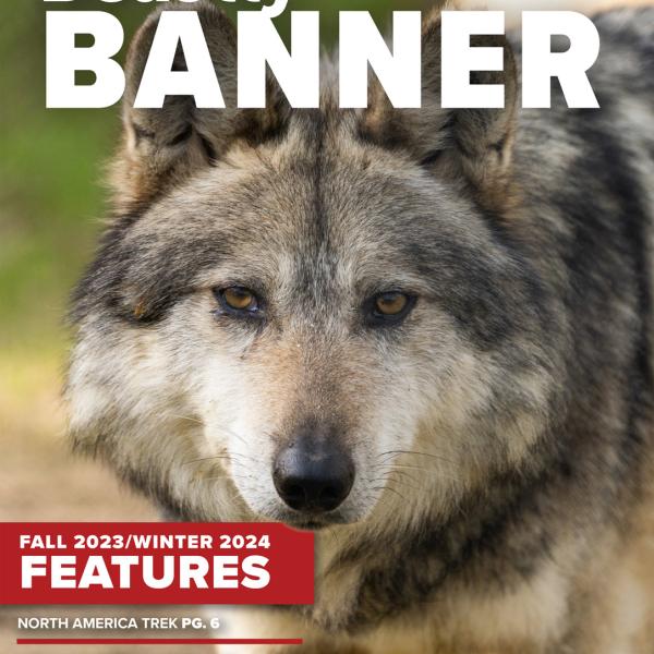 Beastly Banner cover