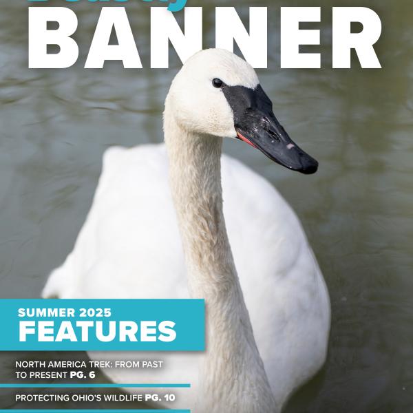 cover of emagazine