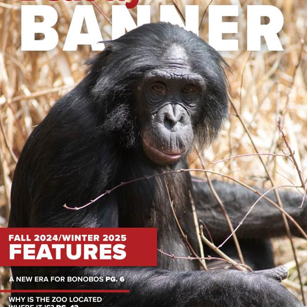 banner front page