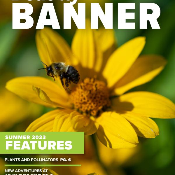 magazine cover with photo