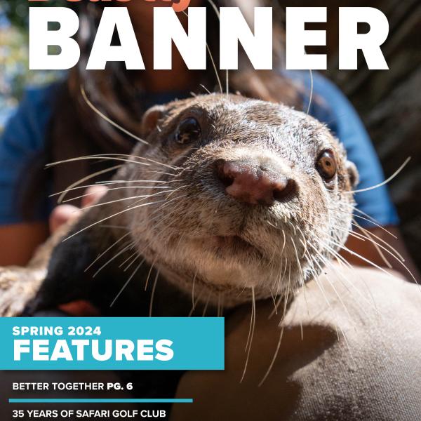 Magazine cover