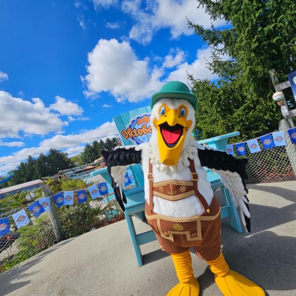 pelican mascot at Zoombezi Bay