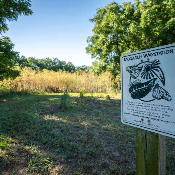 Monarch sign in front of golf course