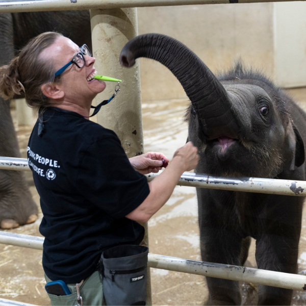 RJ with zookeeper