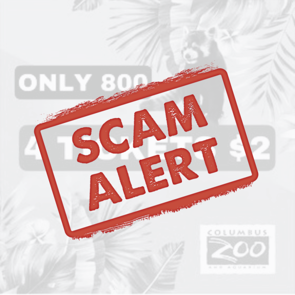 Scam Alert graphic