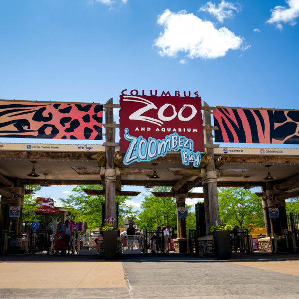 Zoo entrance